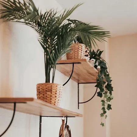 Evasion Centre-ville 2 A 8 Personnes クレルモン・フェラン