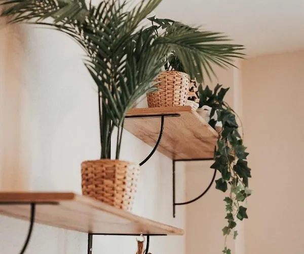 Evasion Centre-ville 2 A 8 Personnes Clermont-Ferrand